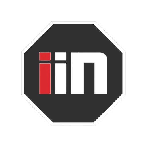 Logo Instituto Irmãos Nogueira